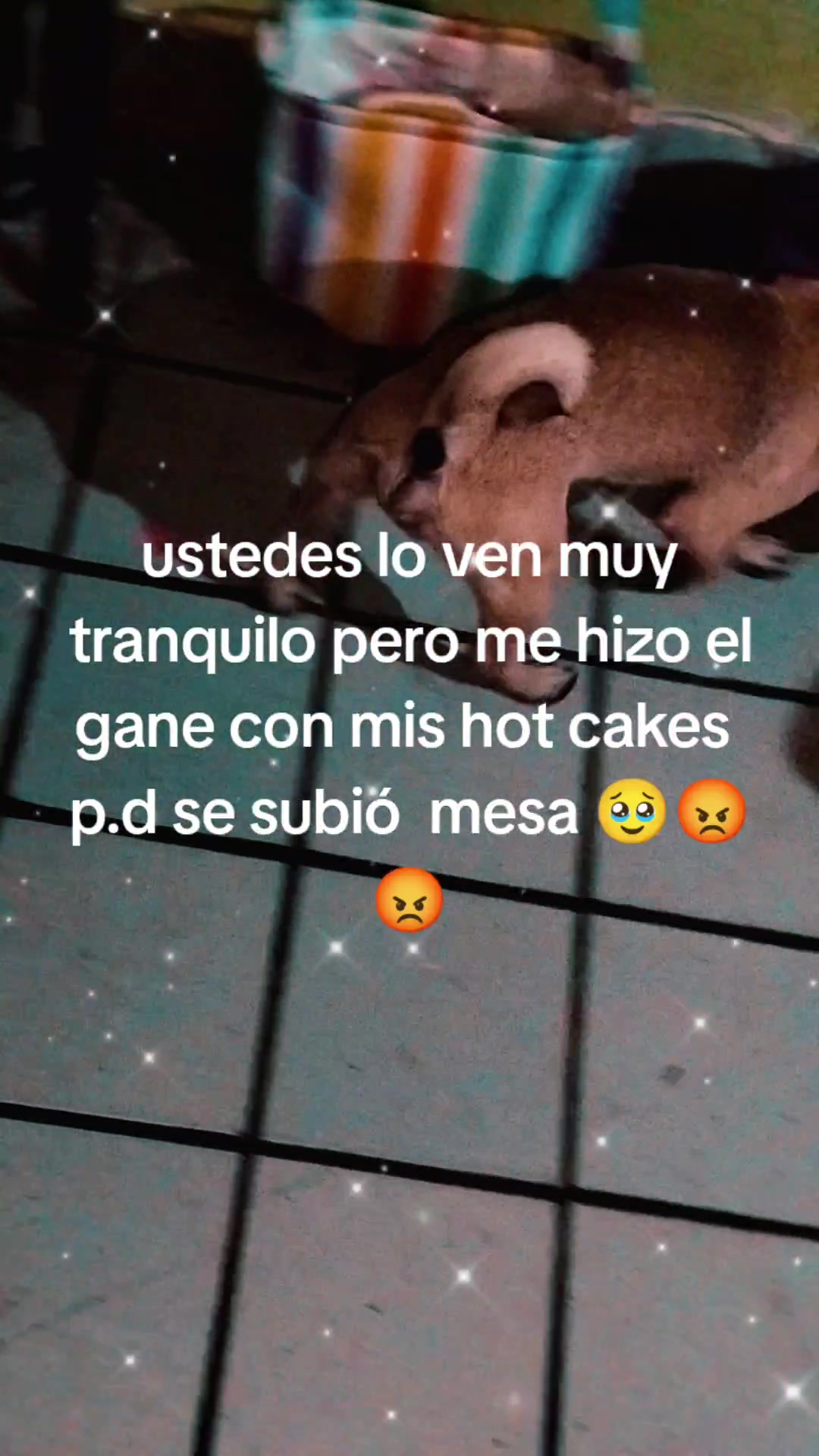 @Daimich💗