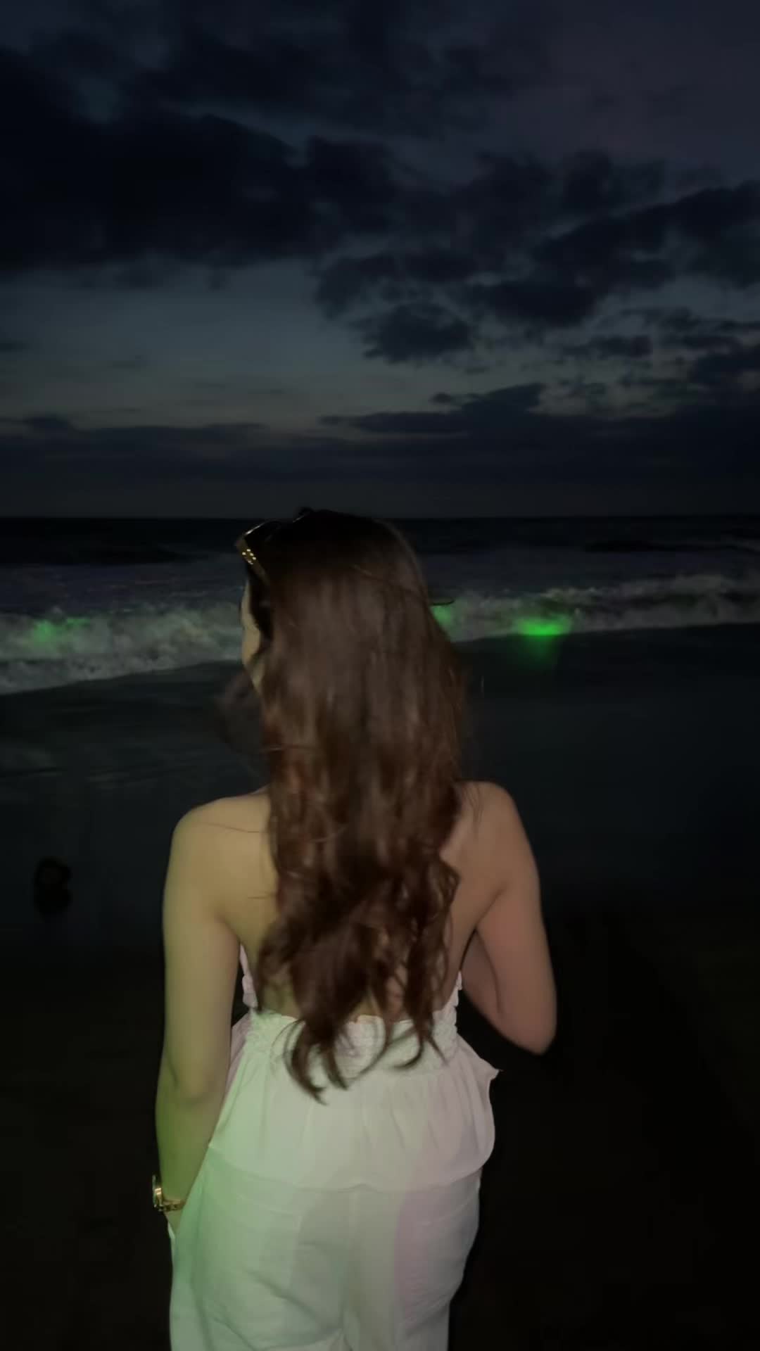 @bbynov🐊