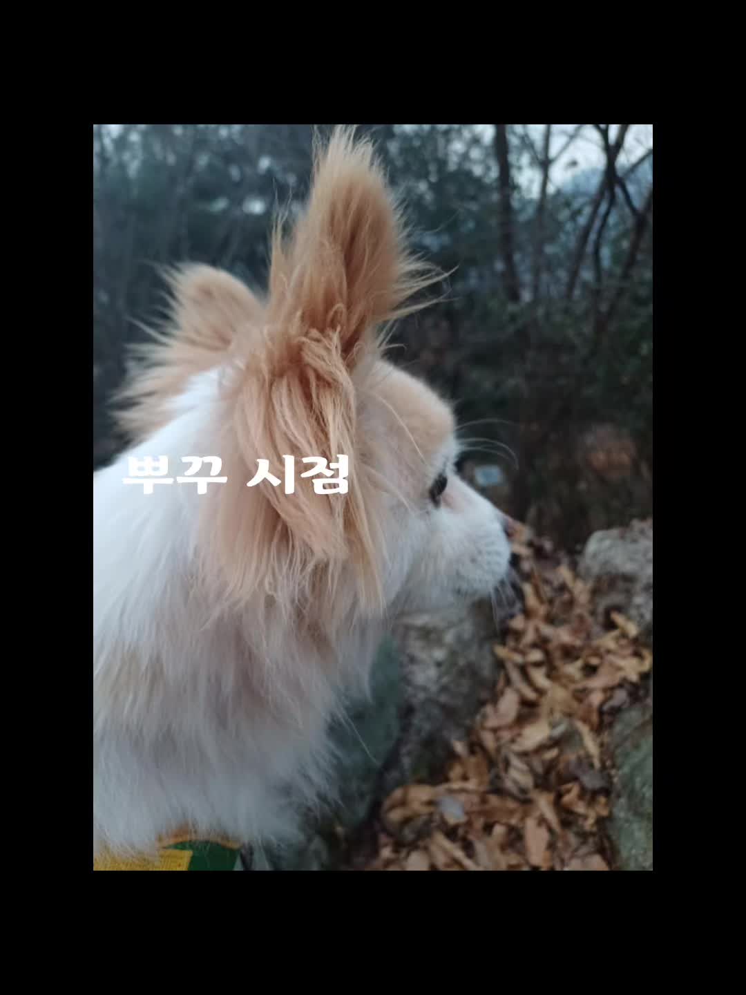 @나의 갓생 사는 동물 스토리