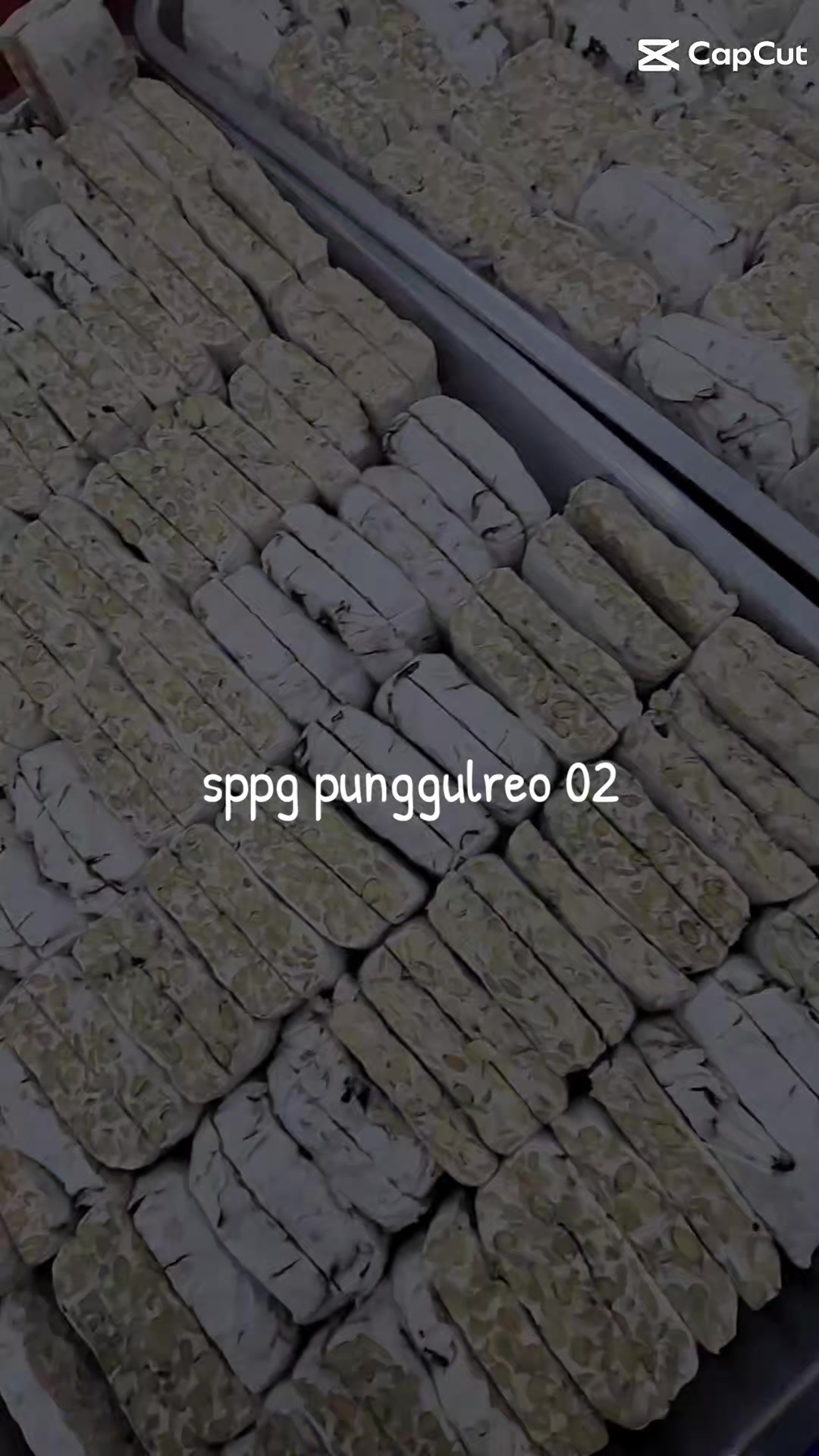 @sppgpunggulrejo 02