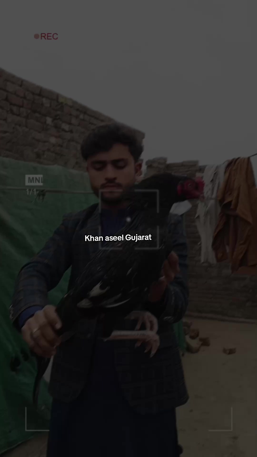 @khan aseel