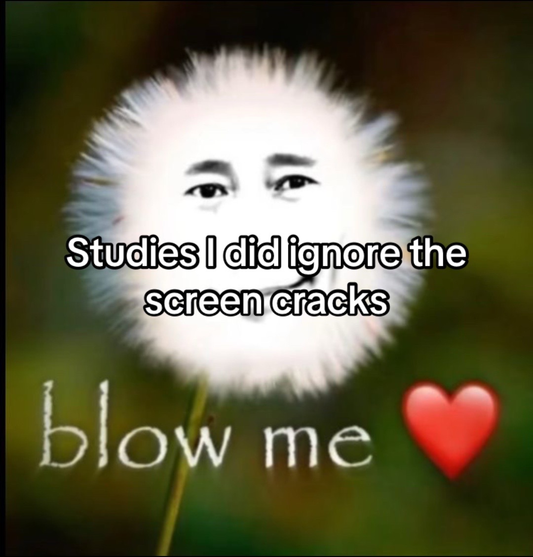 @vapor