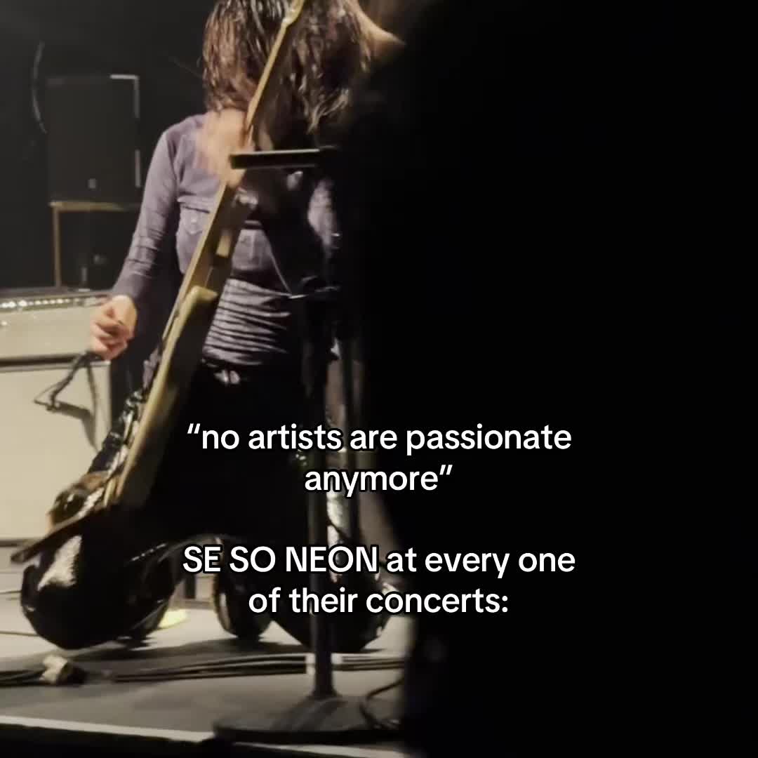 @se so neon fan hub