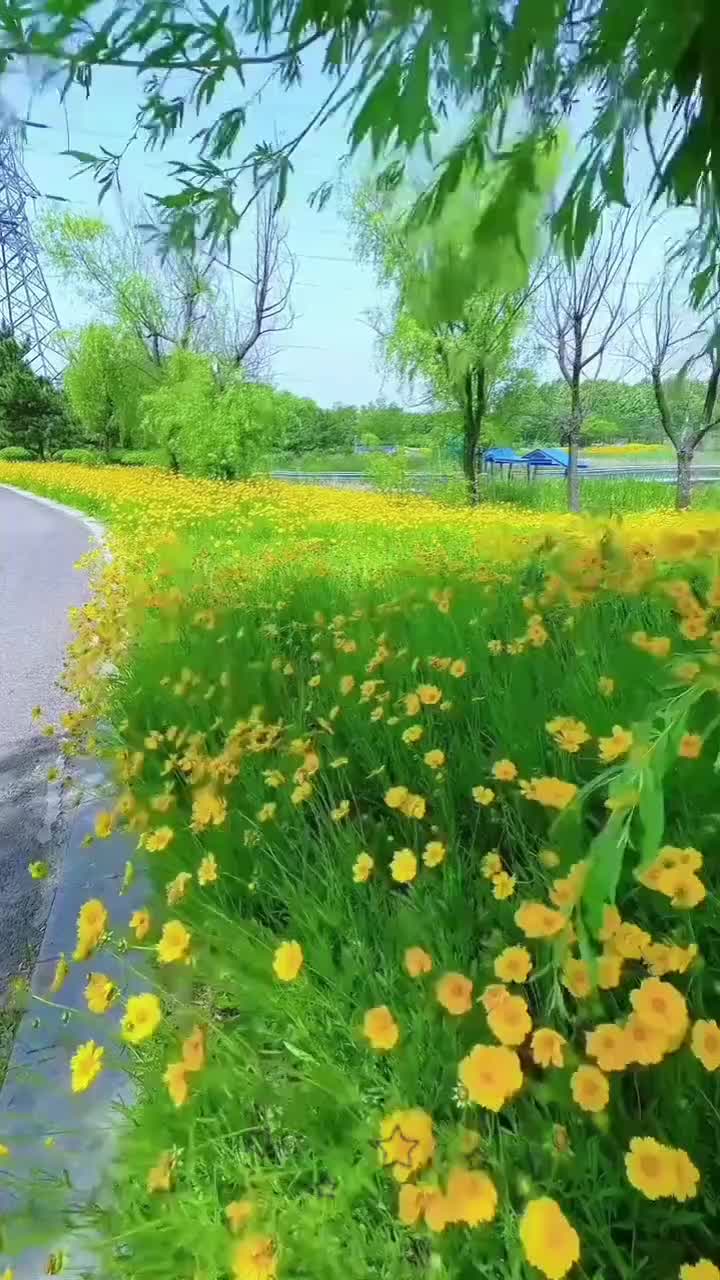 @মুক্ত মাঠের মিষ্টি হাওয়া