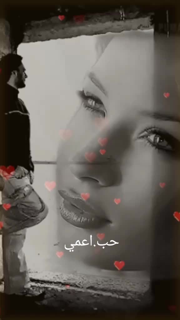 @amrnoor