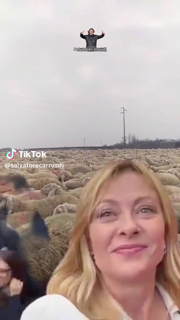 @Marco