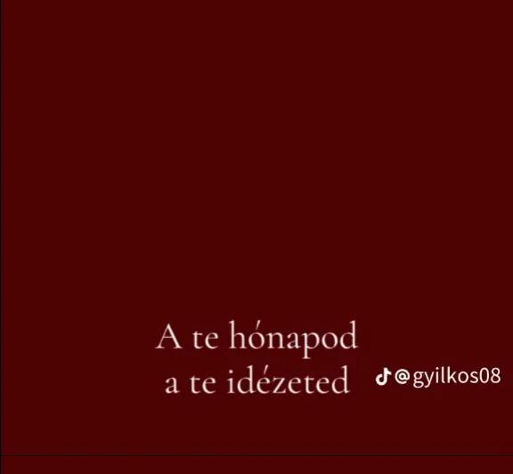 @T&ouml;rpilla❤️❤️&zwj;🔥🫶