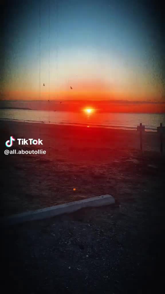 @Joanipur