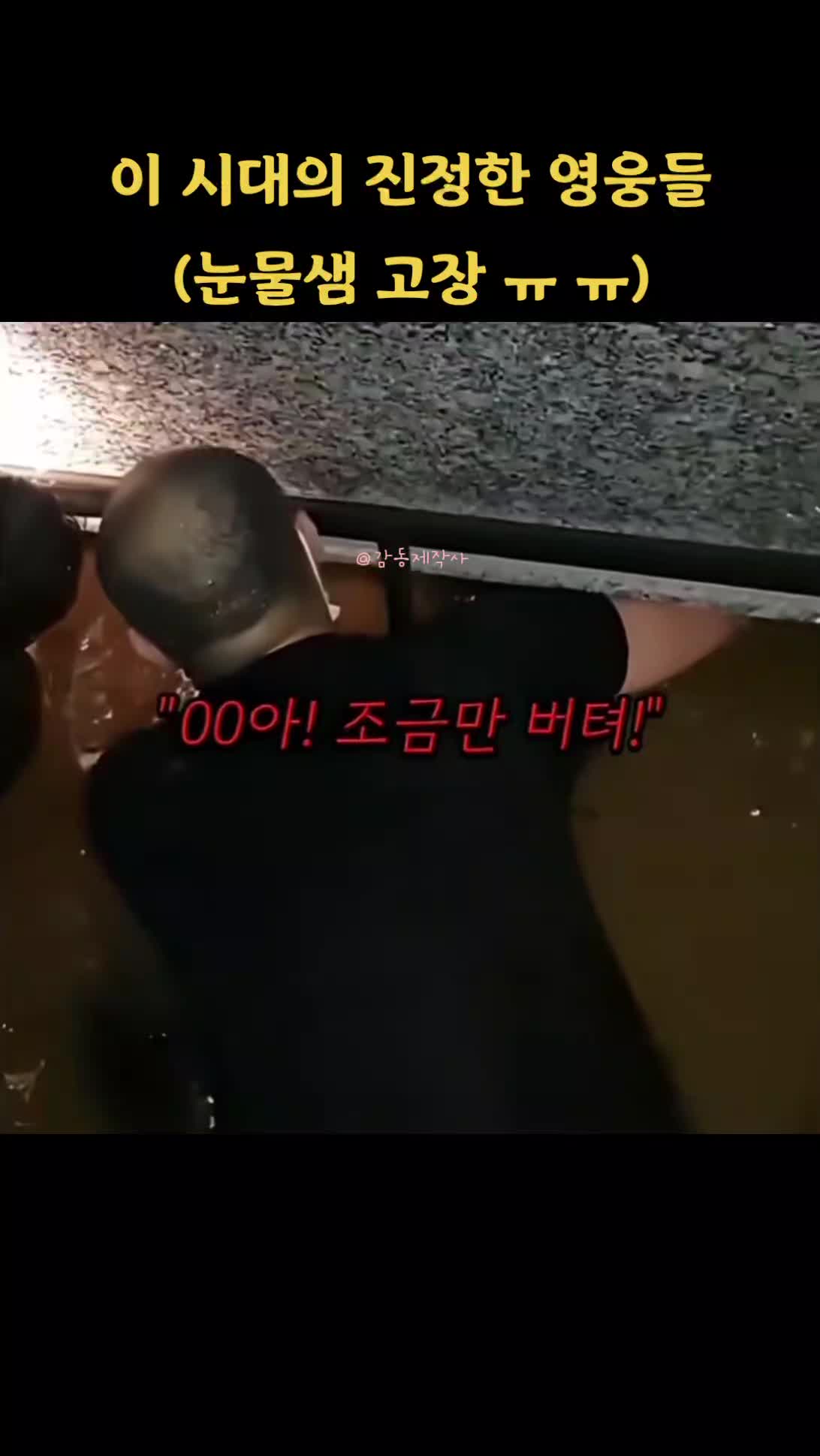 @감동TV