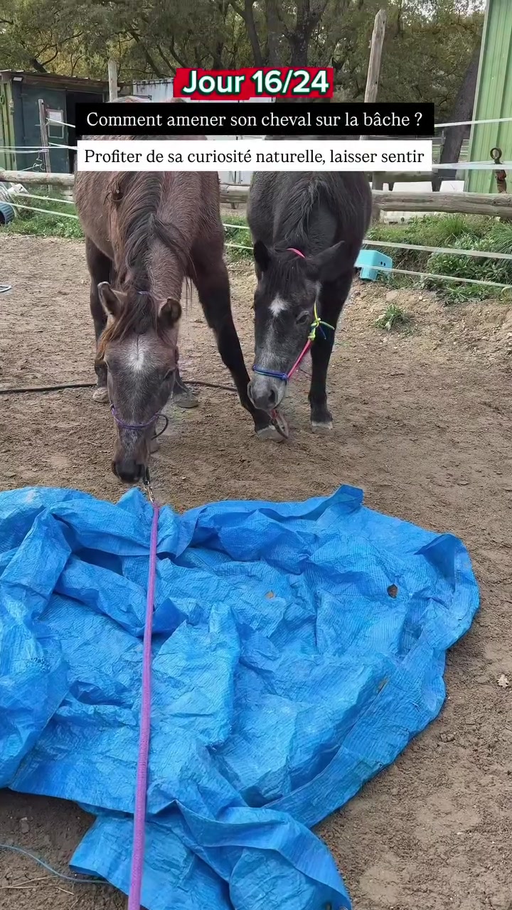 @Ranch Ethic étho