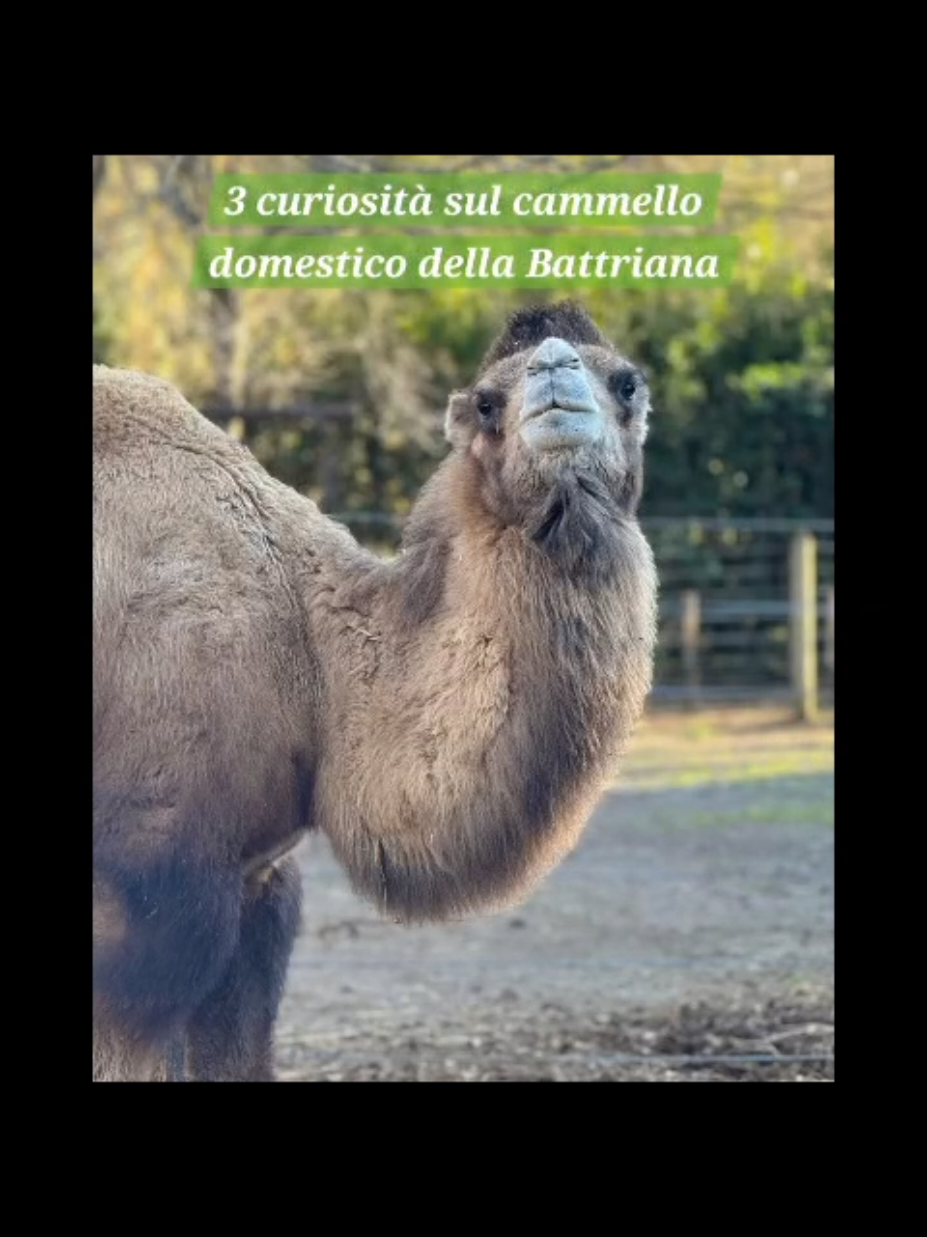 @Parco Zoo delle Star