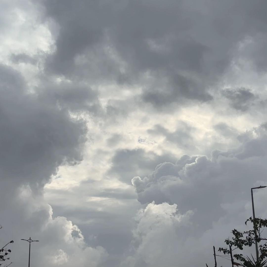 @مجد