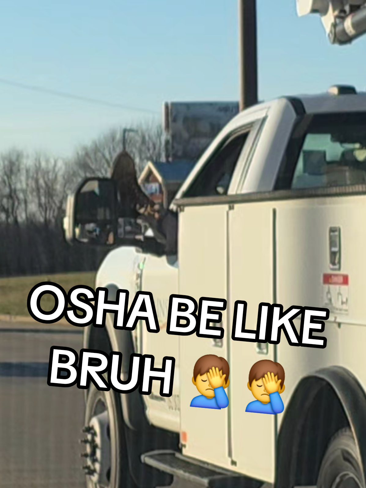 @Kayla Lawrence