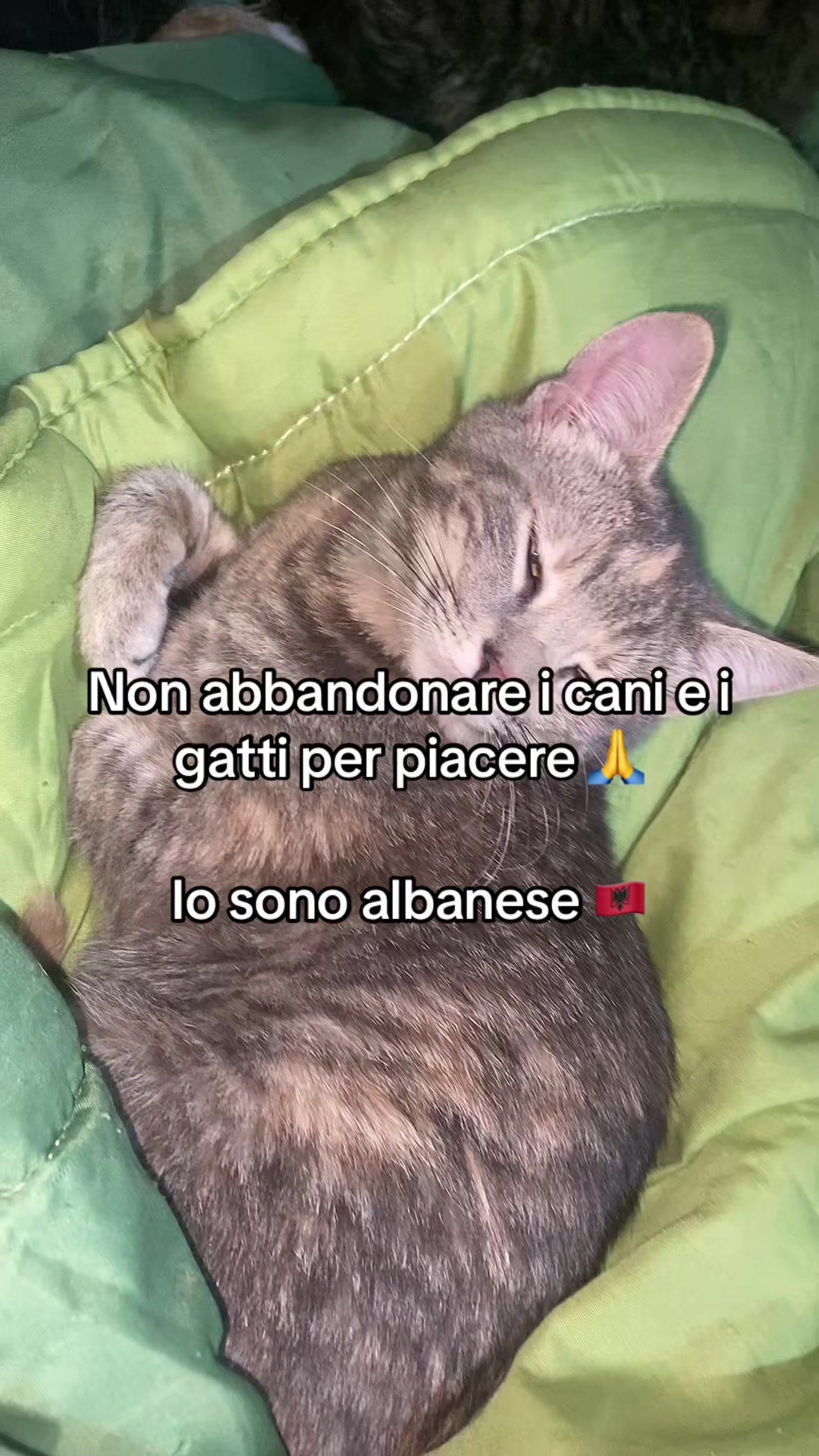 @Keberoma8