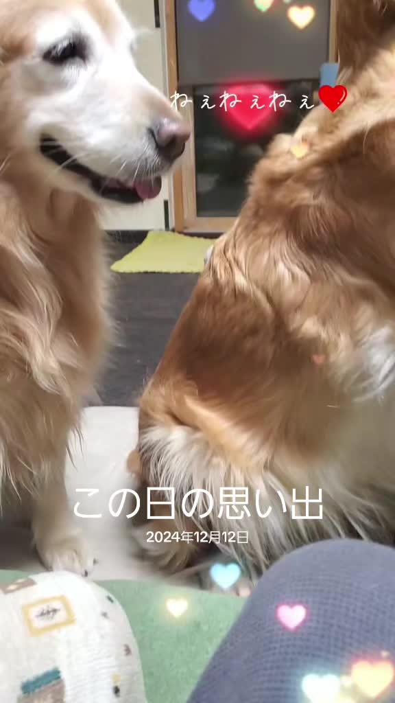@ナナルナ