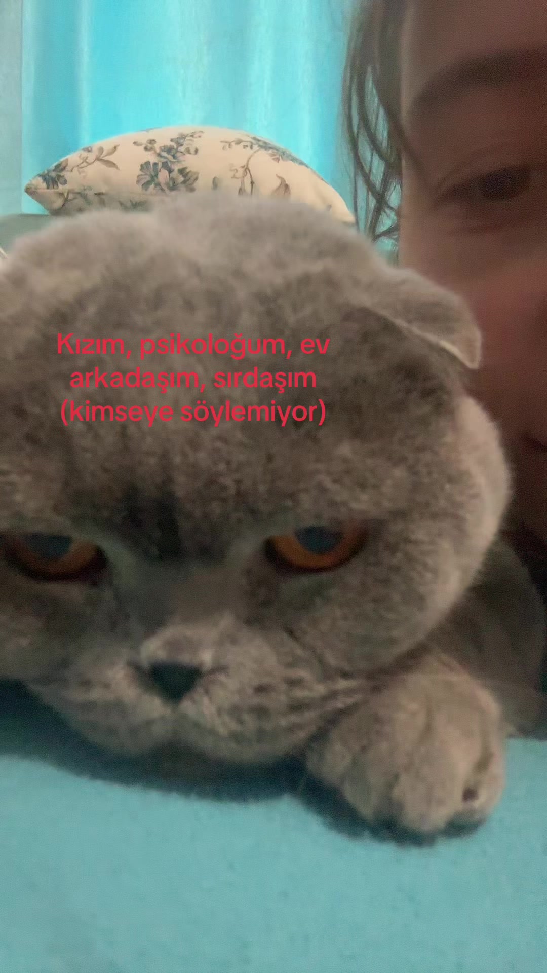 @&Ouml;yk&uuml;