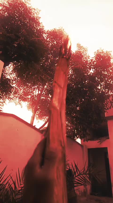 @سردار🦅