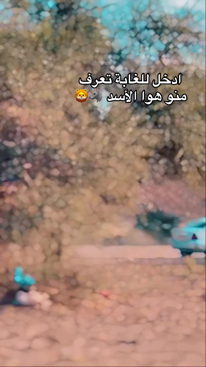 @ملك الزعامة 🦅📸🎥🎞️
