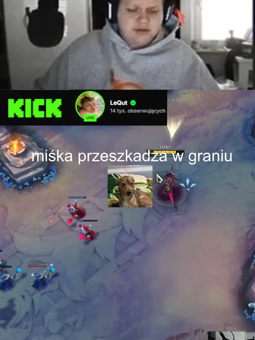 @Nazariofenomen