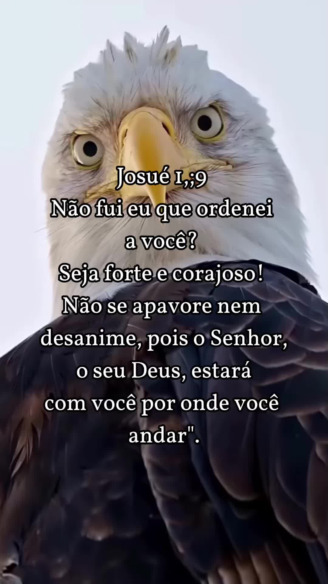 @Cmzo Oz