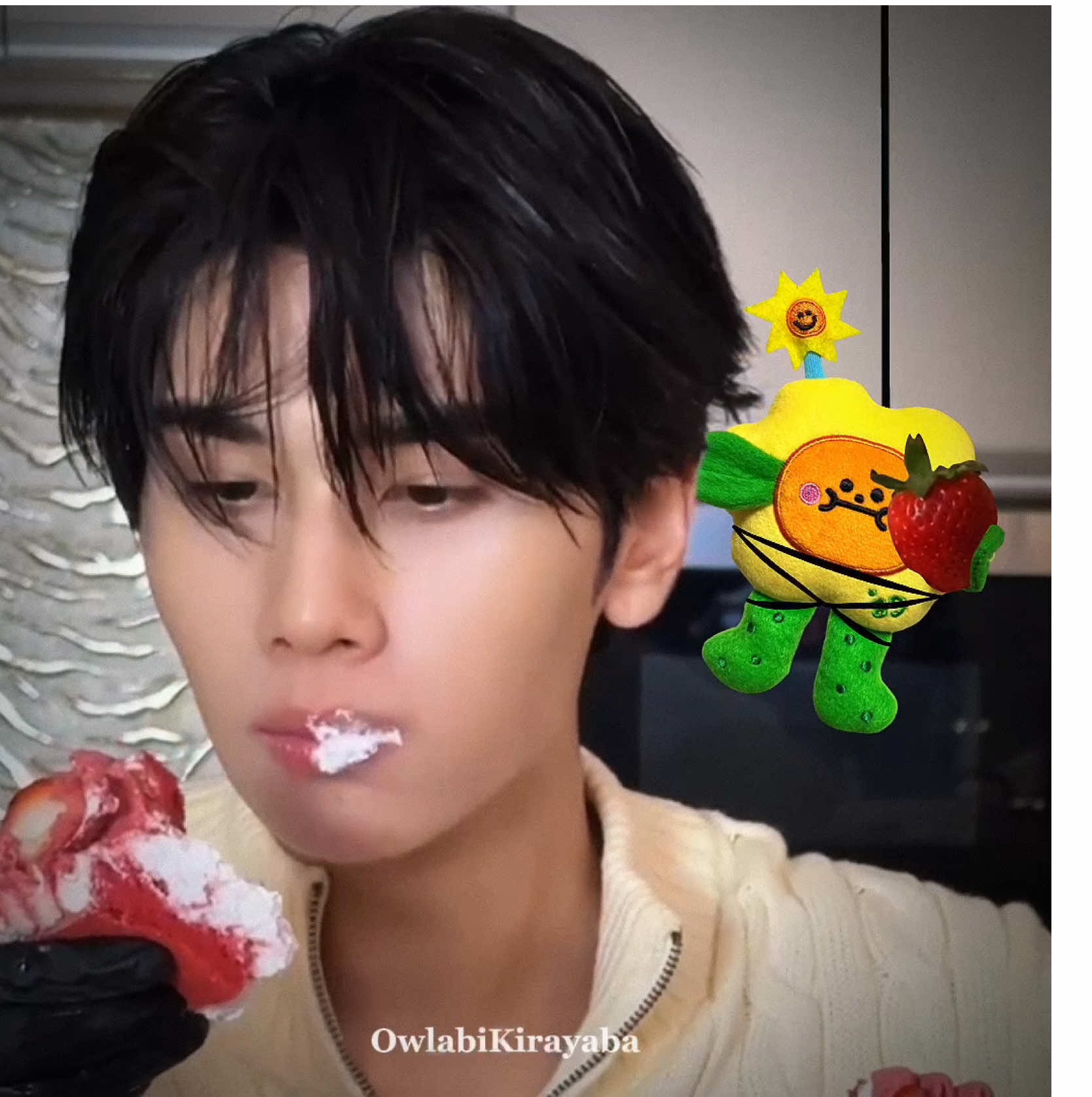 @🥑🌻✮⋆˙owlabikirayaba ⸰ֺ⭑🐻🐼