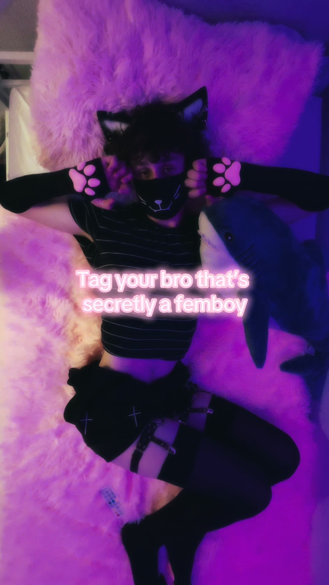 @M0n0t0ne_Catb0y