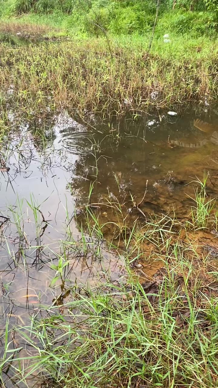 @stecu Fishing