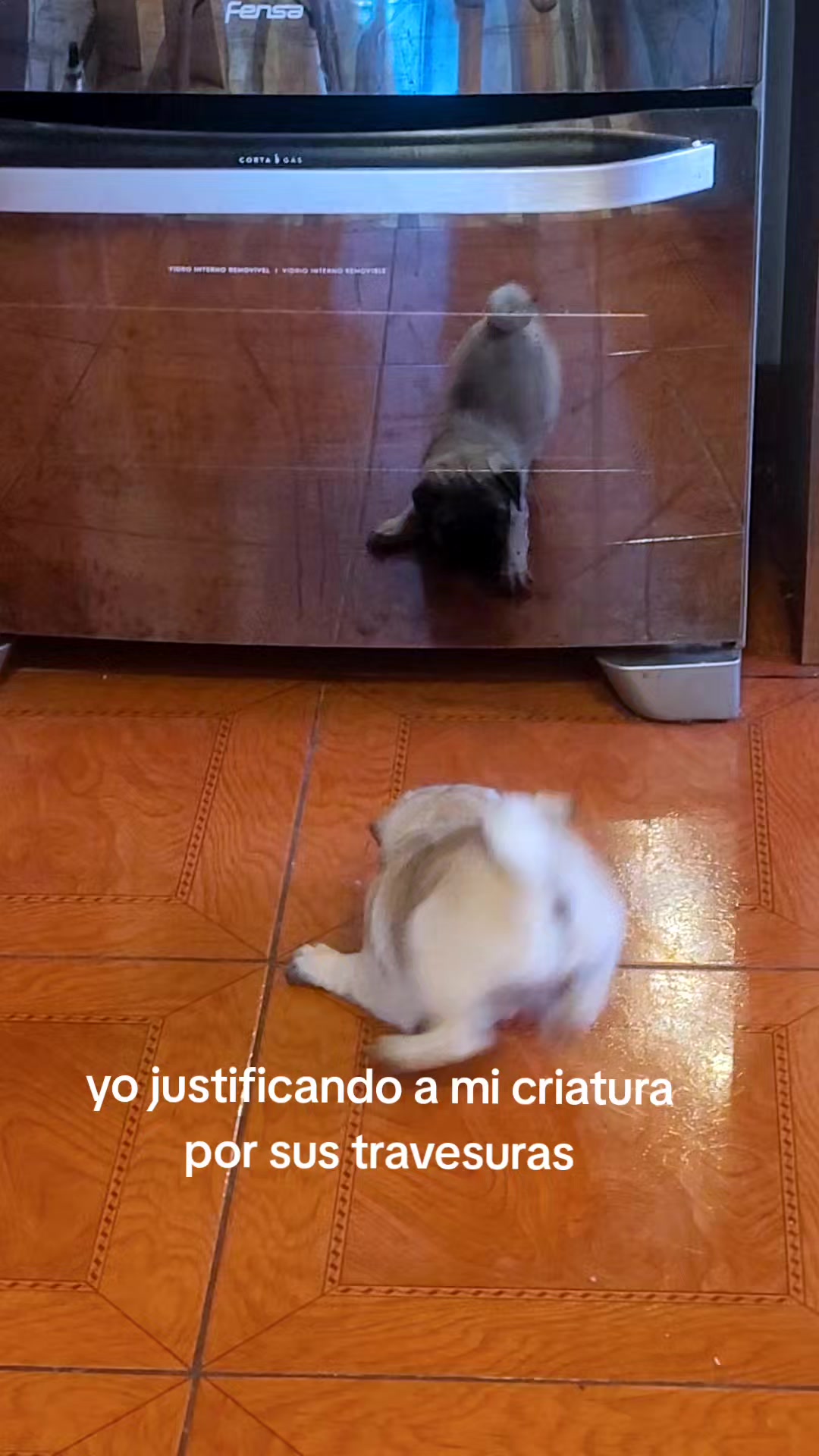 @melizabeth
