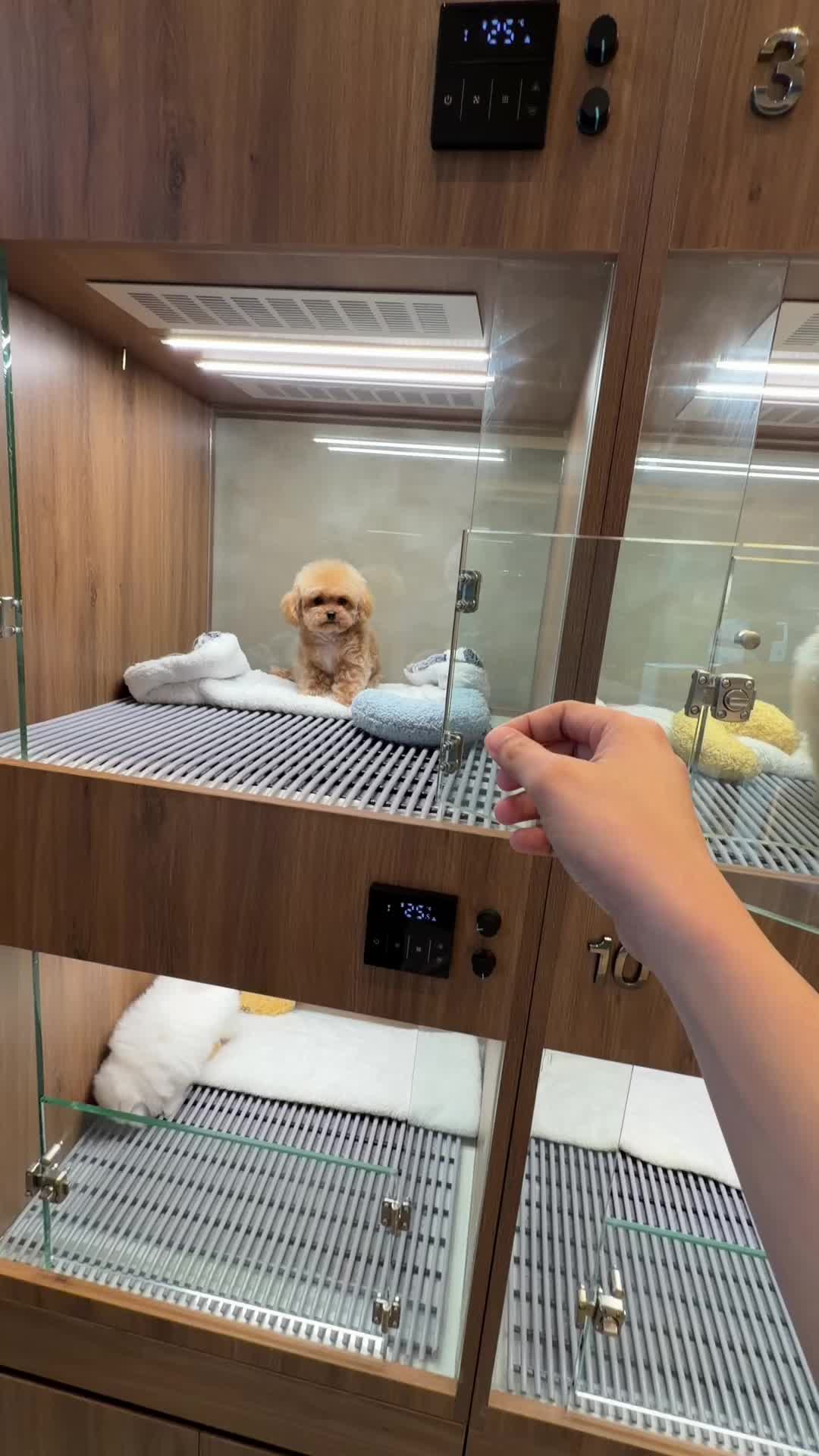 @JC Dog Republic
