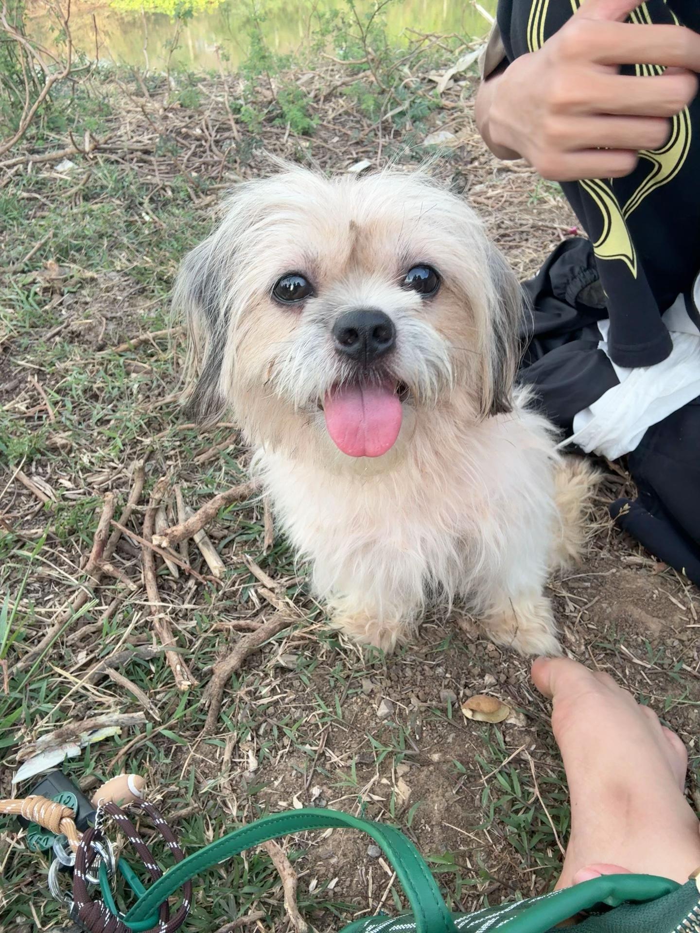 @สANDYษ ๐ชท