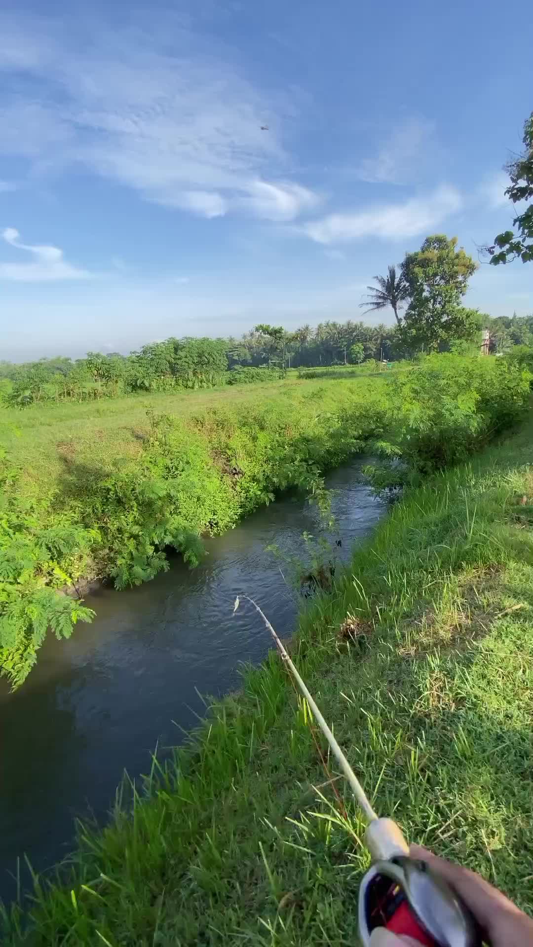 @Mancing selalu