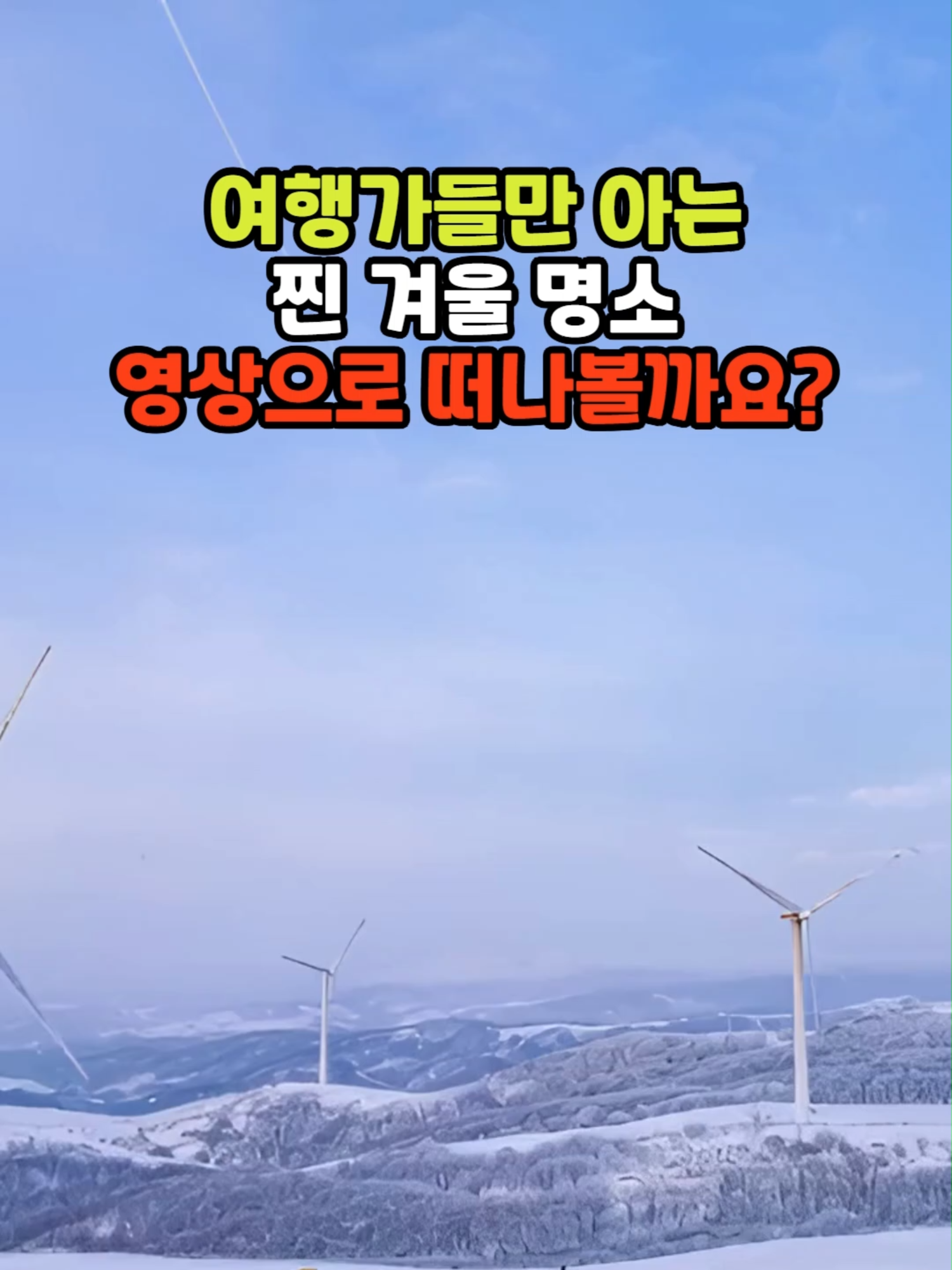 @꽃노리