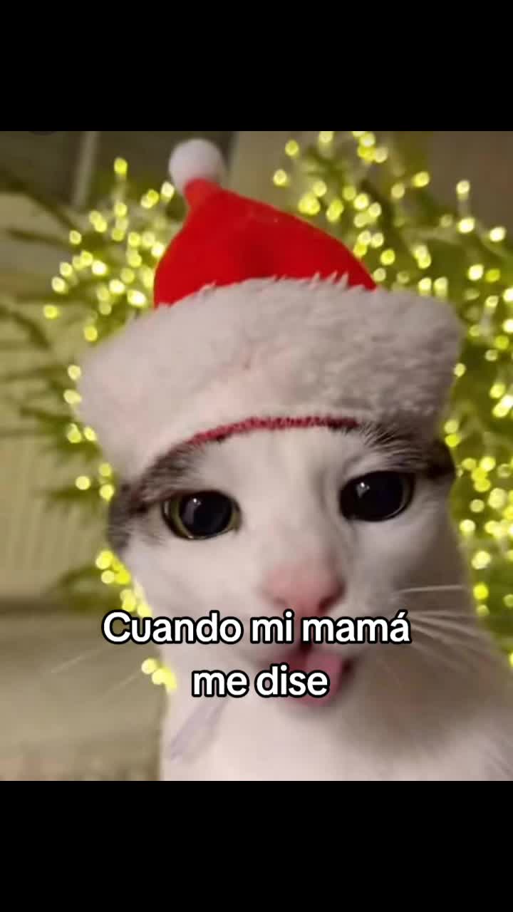 @larataxd