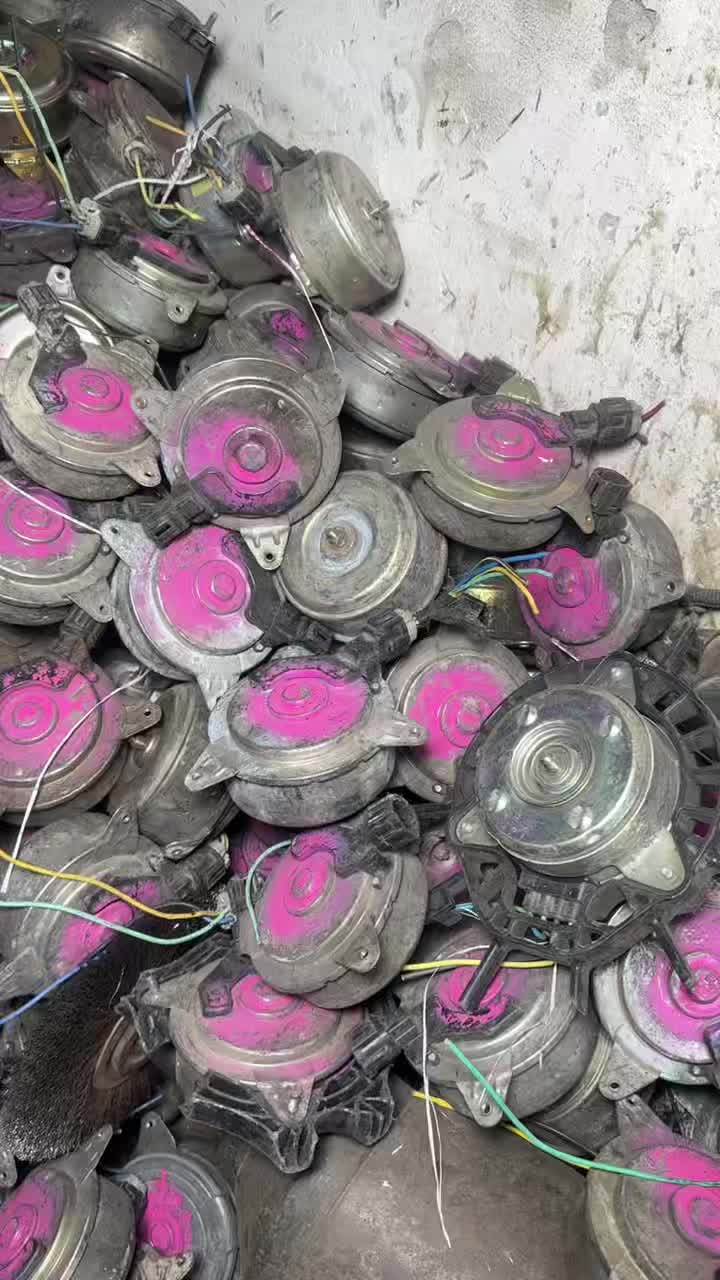 @Asian Skills