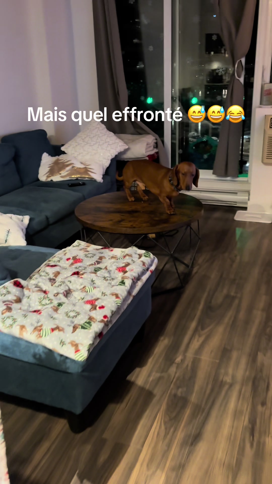 @Vanessa G 🇨🇦