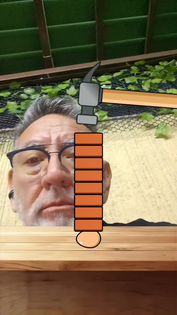 @carlos_cocinerotiktok