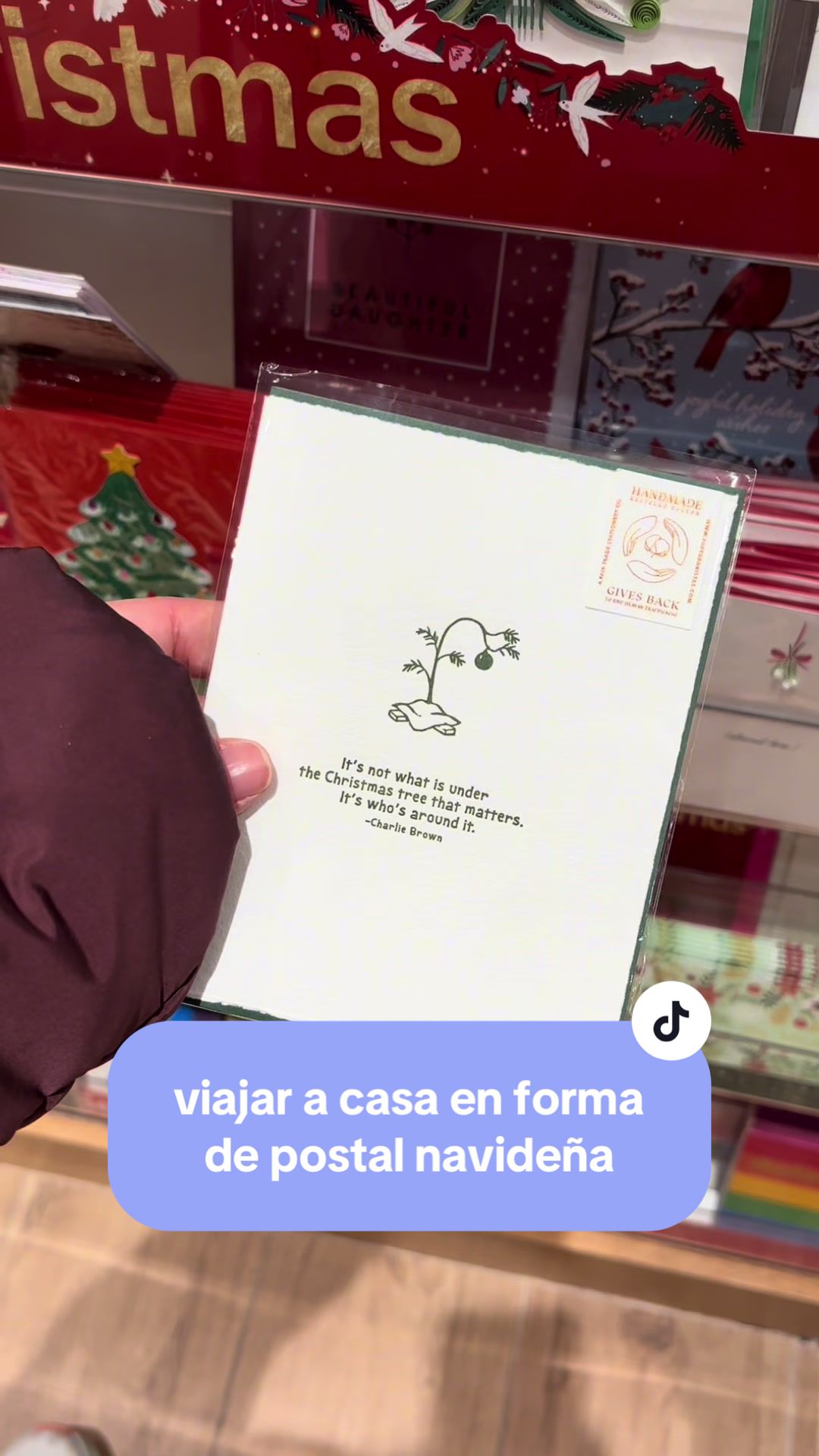 @🌸 aitana 🌸