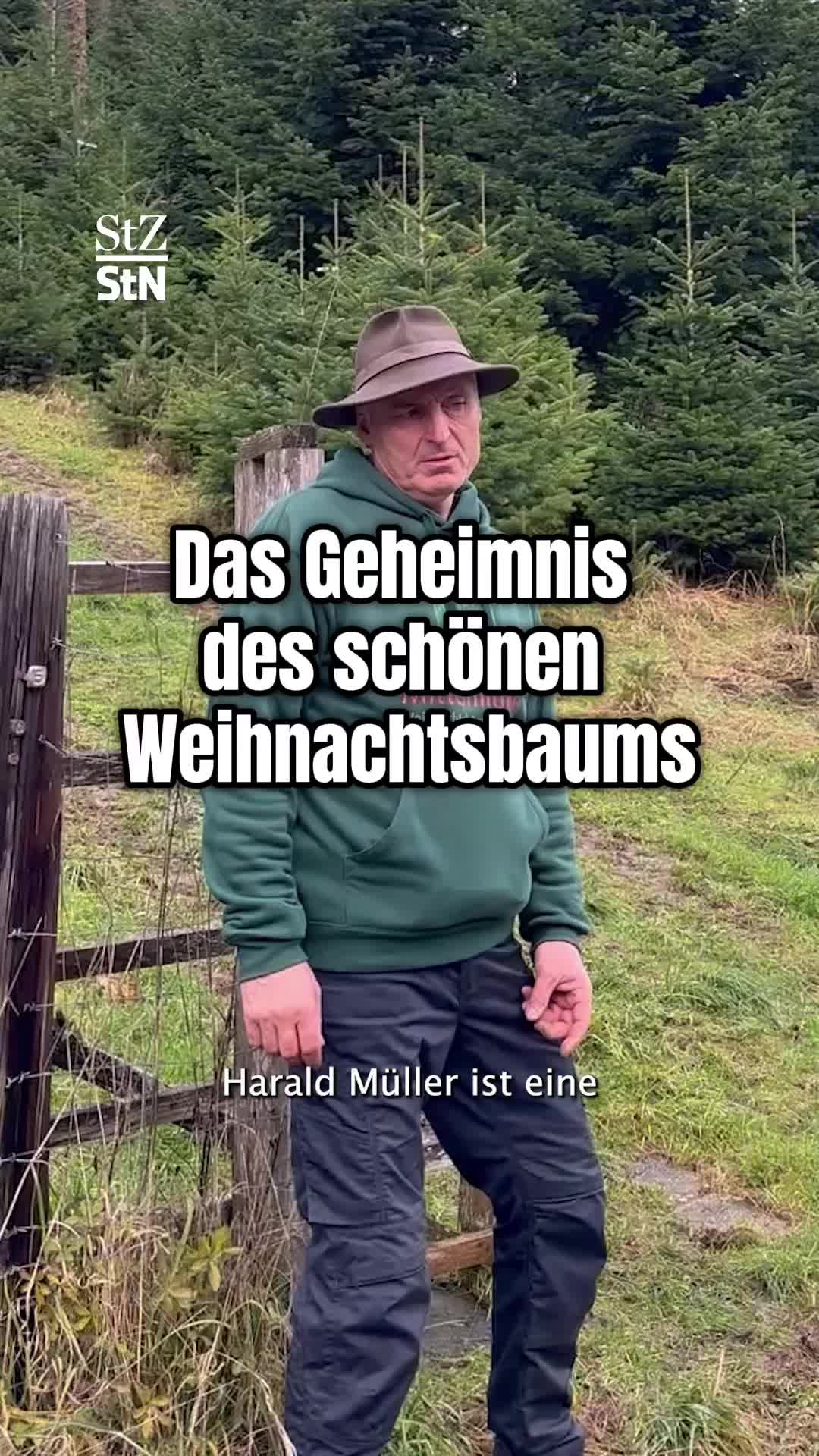 @StZ