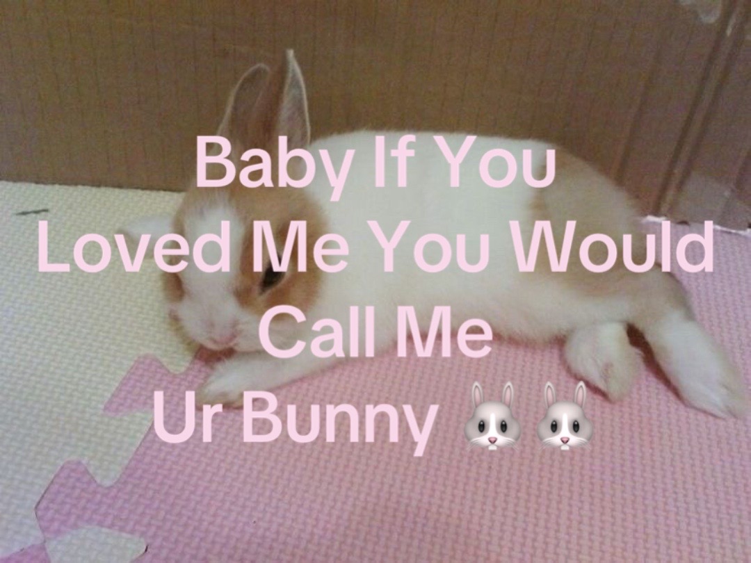 @diო ♡