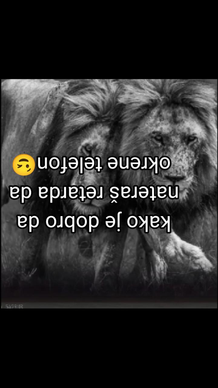 @Ŧ_Ř_&Aring;_Ĵ_Ķ_&Oslash;_V_Ş_Ķ_Ĩ🫡