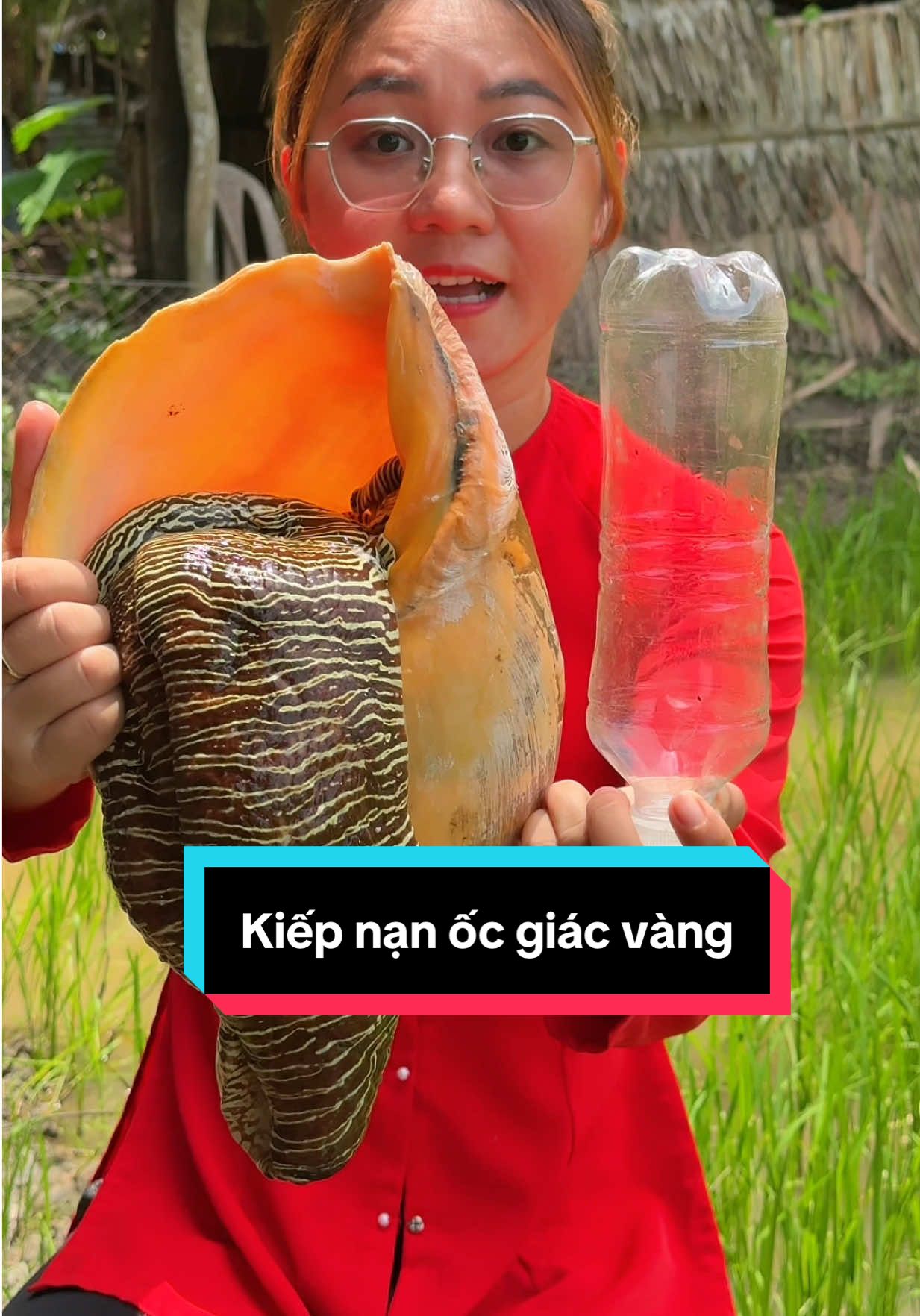 @Thi Thi Miền T&acirc;y