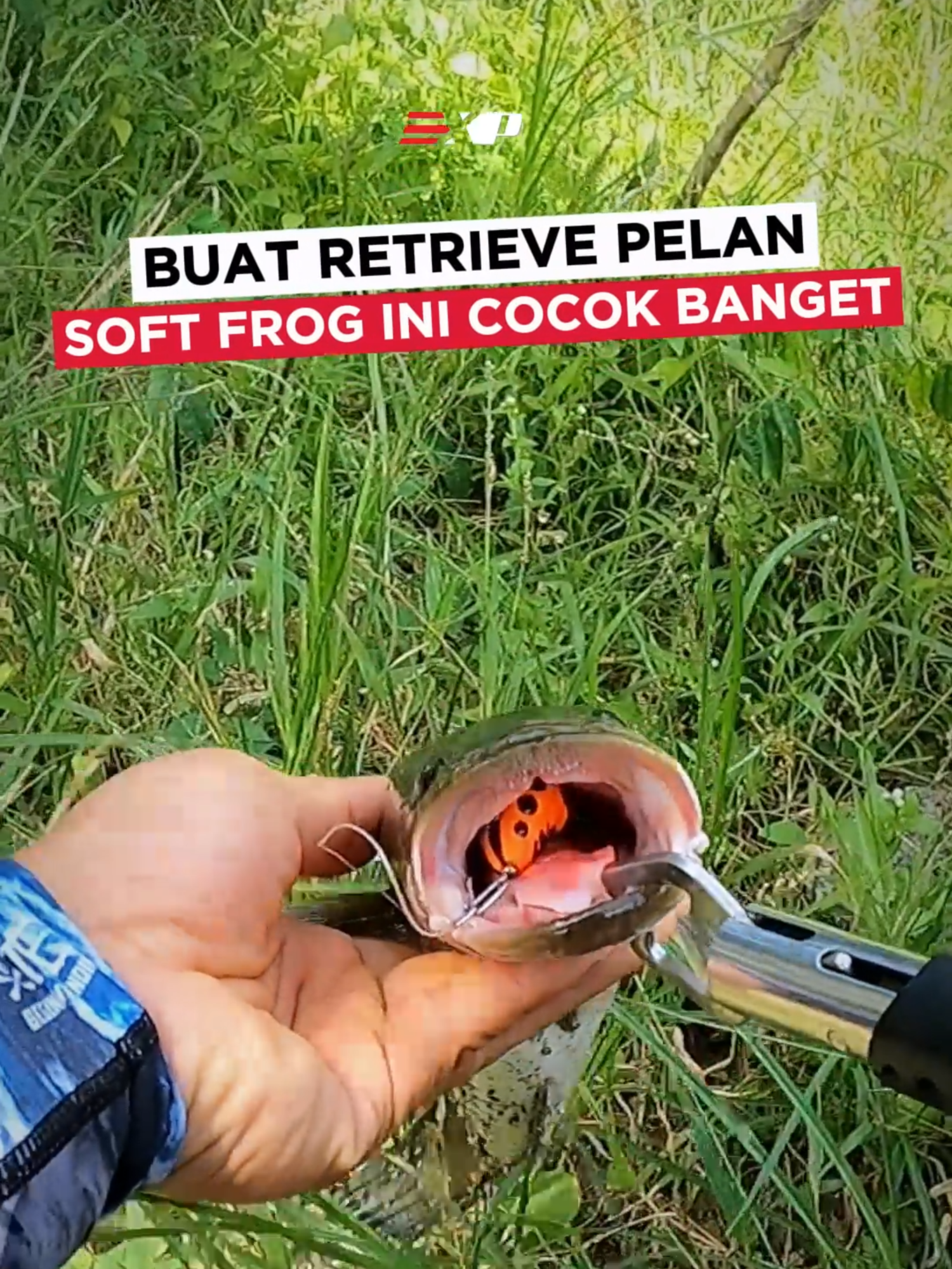 @Si Pemburu Gabus