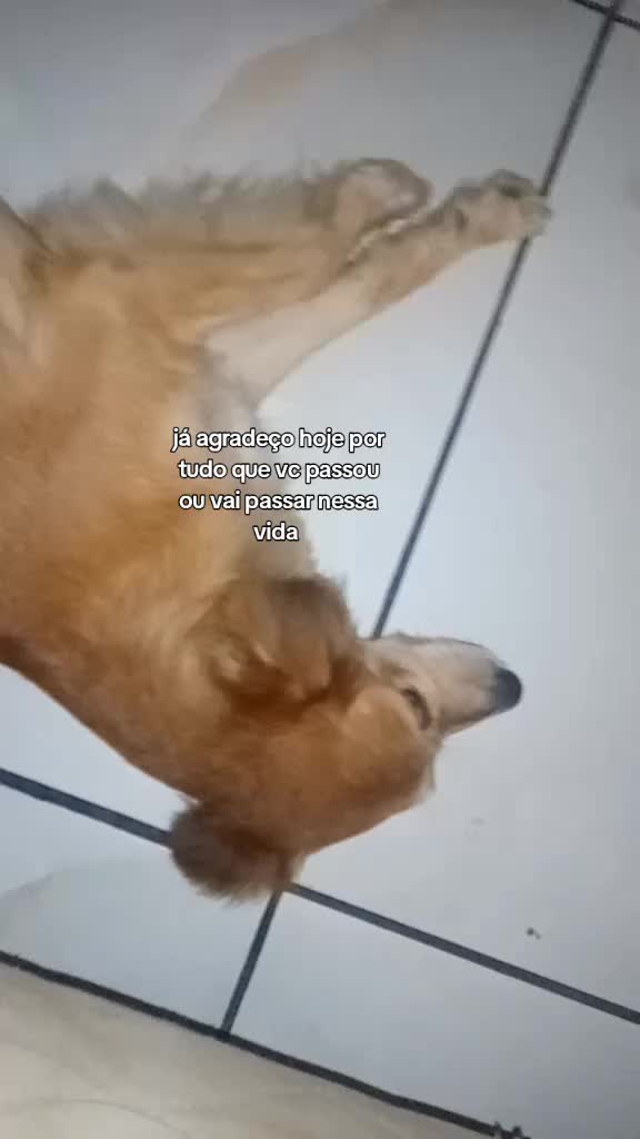 @simone do tik tok