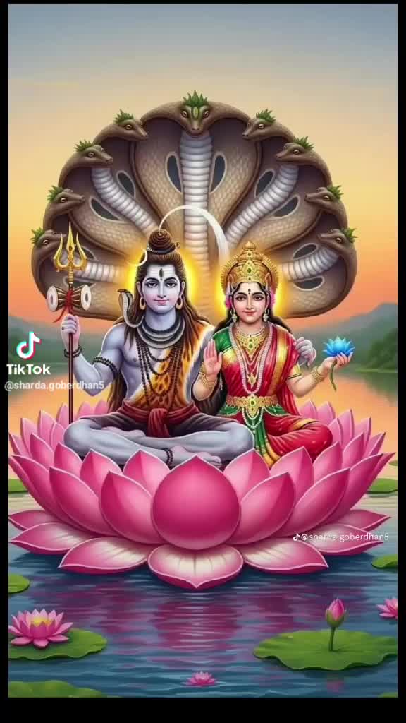 @Sharda Goberdhan