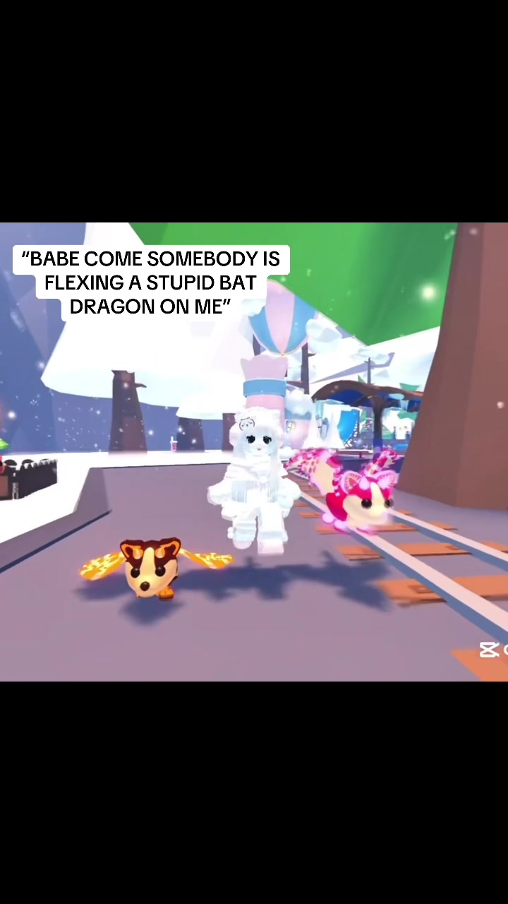 @aisha