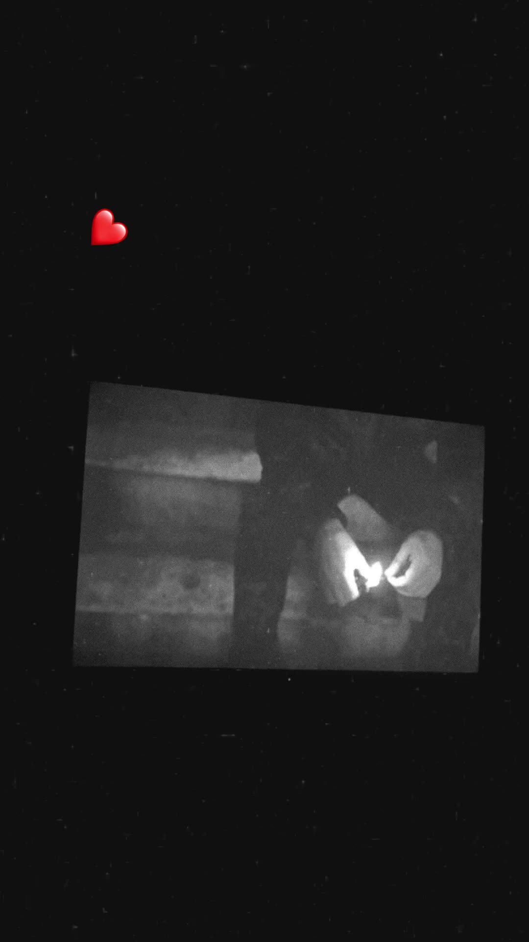 @Ayşeg&uuml;llll🐣