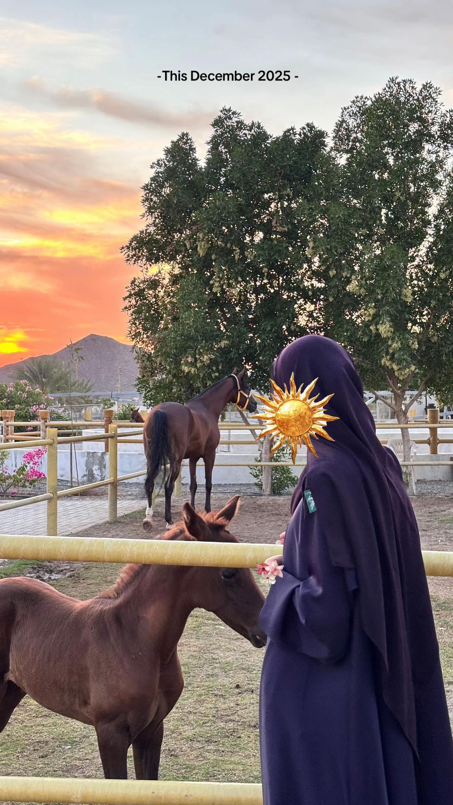 @روان محمد ⭐️