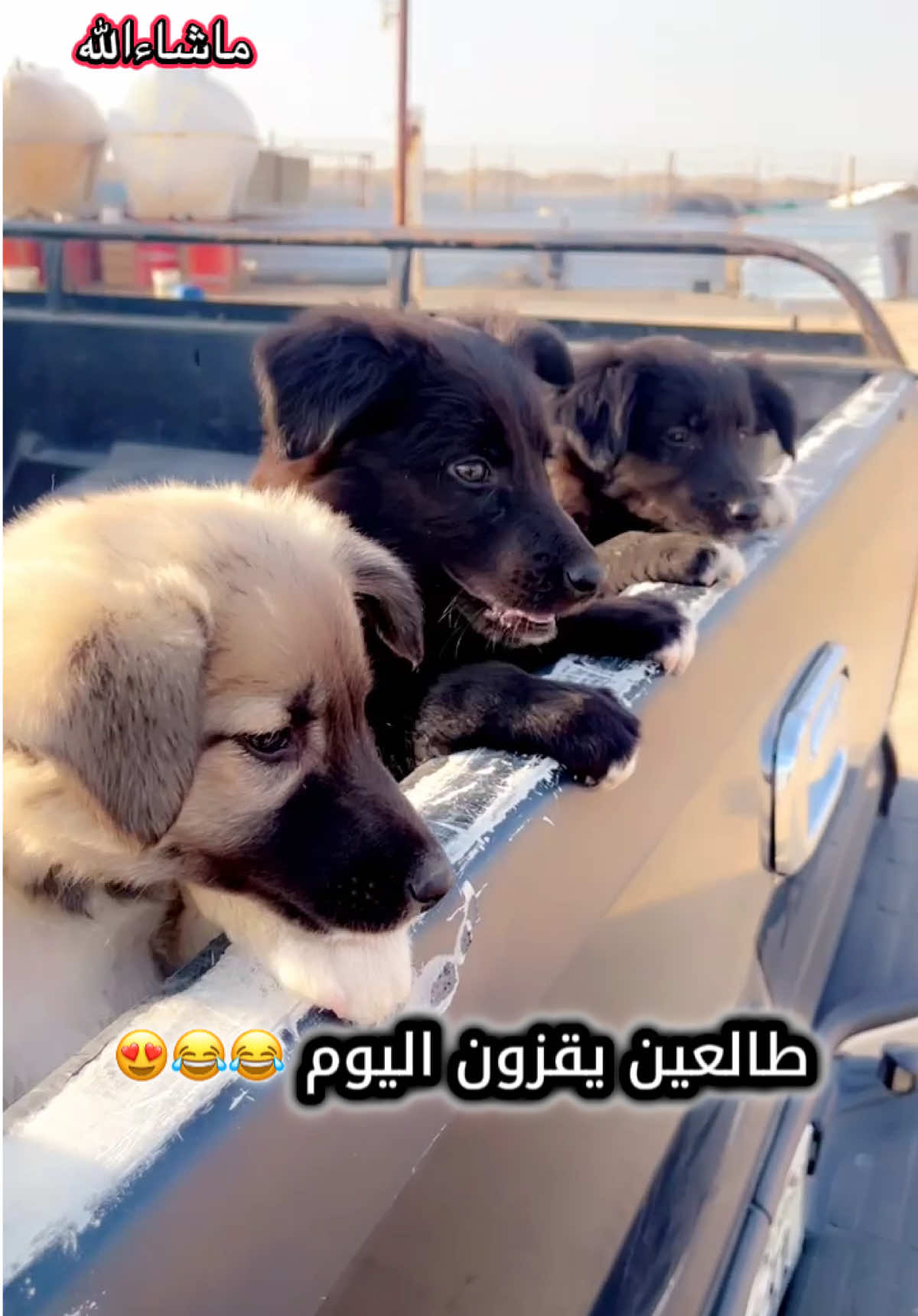 @K7🇰🇼