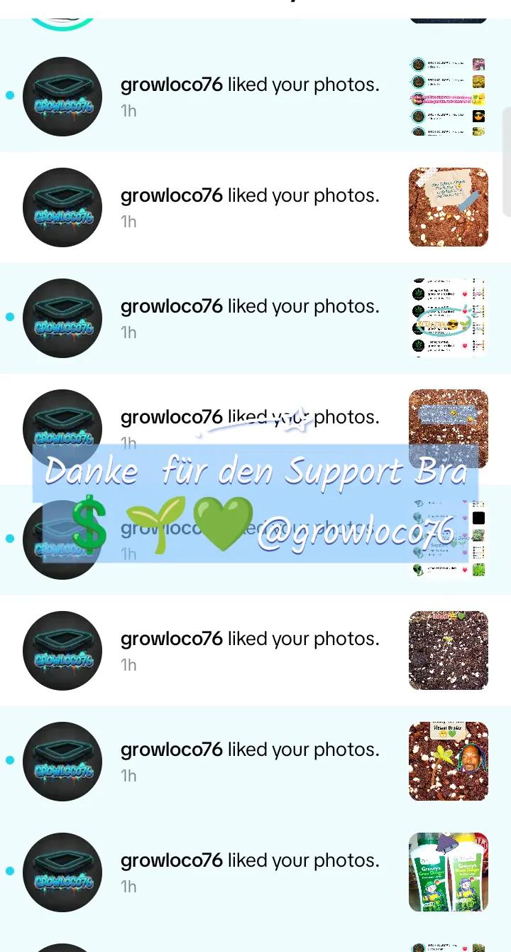 @420_Kaktus.Gurke_69