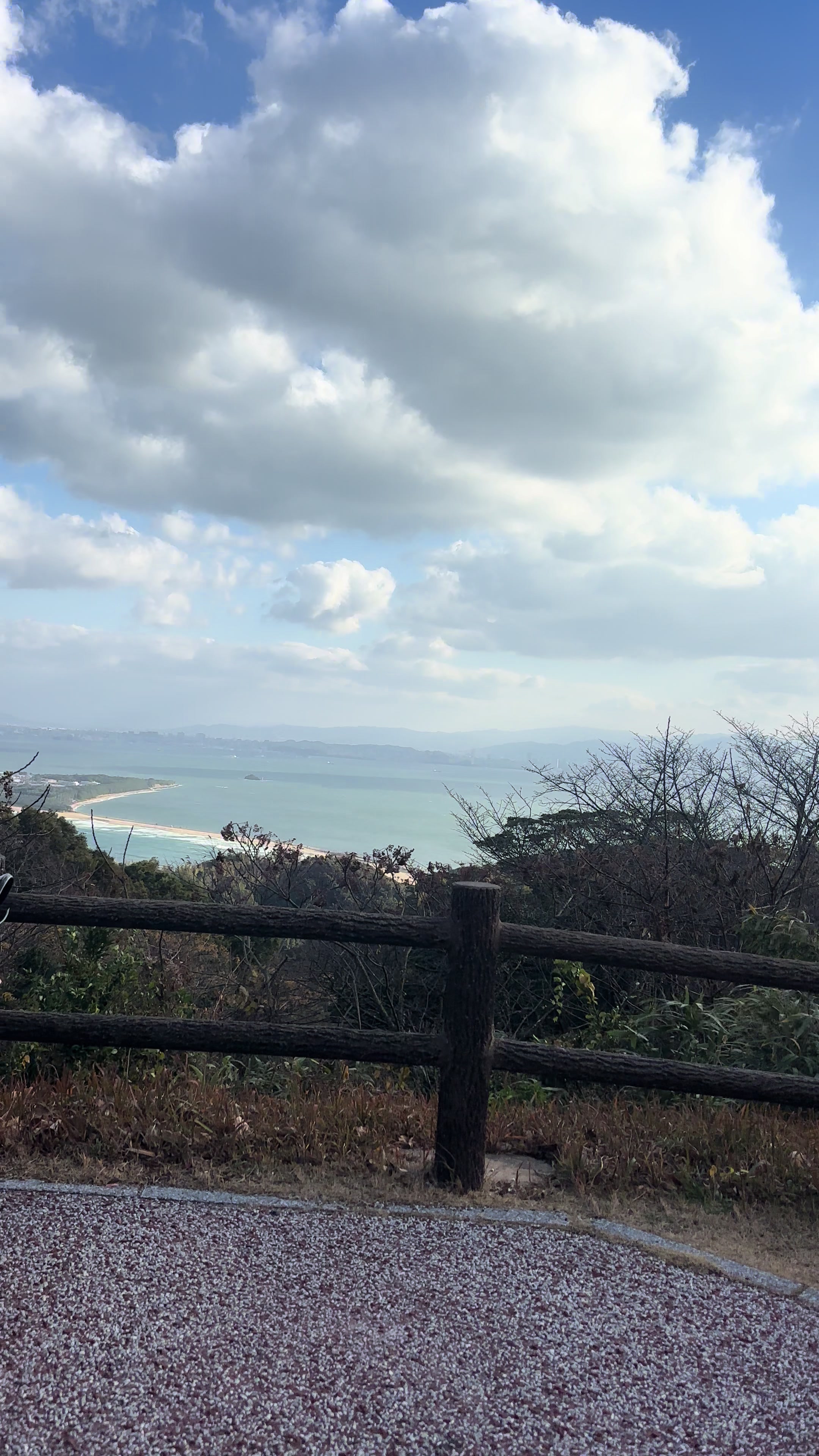 @根性みせなね😽